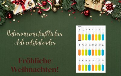 Naturwissenschaftlicher Adventskalender 2025