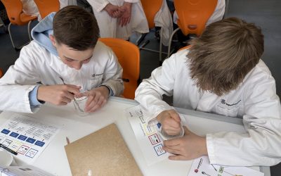 Forschen, Entdecken, Ausprobieren – Die 7c in der experimenta Heilbronn