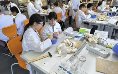 Experimentabesuch der 7a und 7b (28.04 und 05.05)